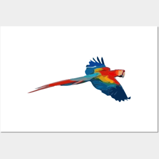 Scarlet Macaw Digital Painting Posters and Art